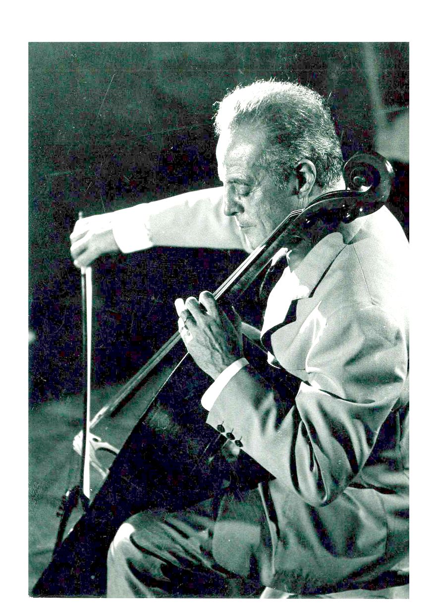 Андре Наварра